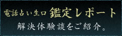 電話占い生口鑑定レポート